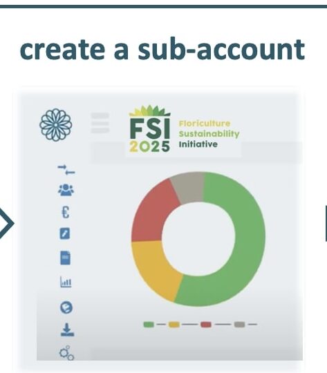 sub-account sustainable sourcing scan